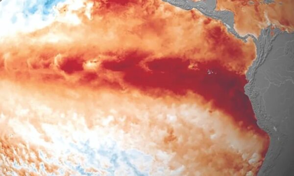 Novas projeções apontam El Niño de intensidade inédita em séculos