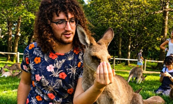 Inglês + voluntariado: experiência que fortalece causas