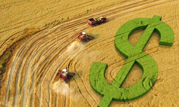 Preços de soja sobem de R$ 1 a R$ 2 por saca nas praças do Brasil; confira as cotações do dia