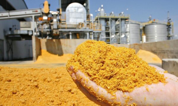 Produção de DDG deve disparar no Brasil e pode superar 15 milhões de toneladas até 2030