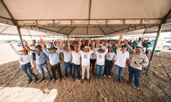Rally das Forrageiras reúne 600 participantes em Alagoas para discutir soluções de alimentação na seca