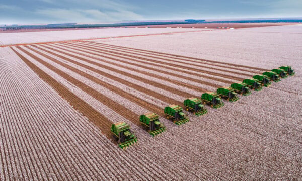 SLC Agrícola abre inscrições para Programa de Estágio 2027; veja como se candidatar