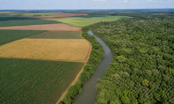 Senado aprova regras para regularização ambiental de propriedades rurais